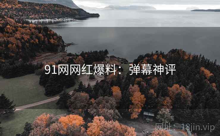 91网网红爆料：弹幕神评